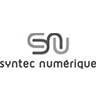 syntec-numerique2